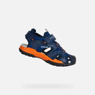 Borealis   Jungen