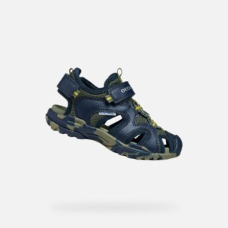 Borealis   Jungen