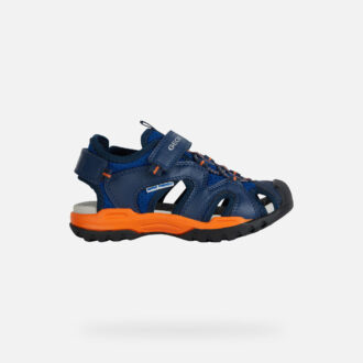 Borealis   Jungen