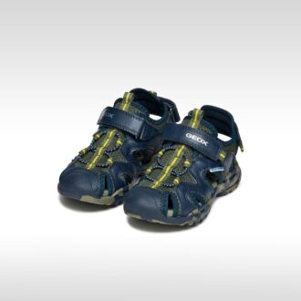 Borealis   Jungen