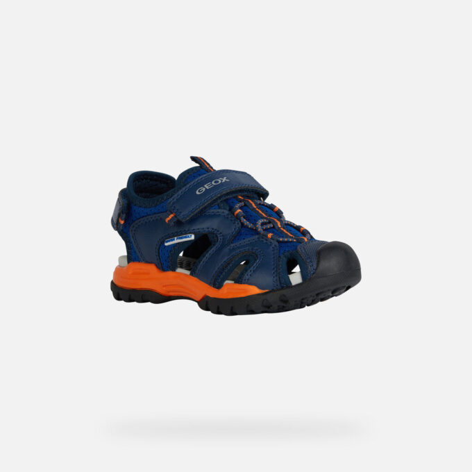 Borealis   Jungen