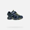Borealis   Jungen