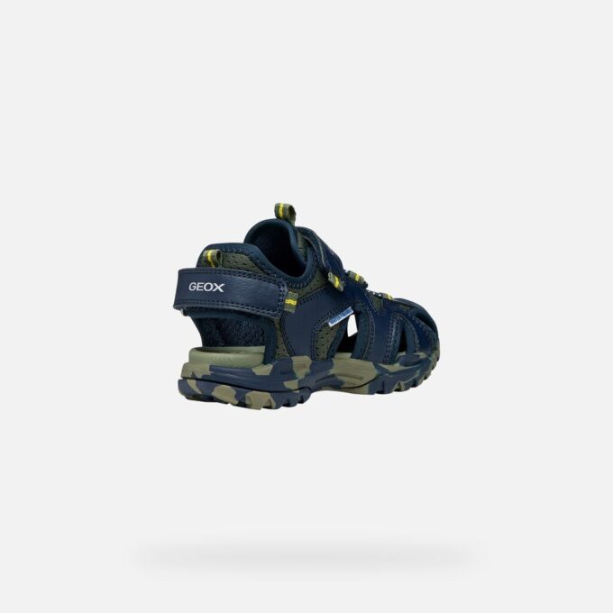 Borealis   Jungen