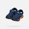 Borealis   Jungen