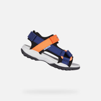 Borealis   Junior