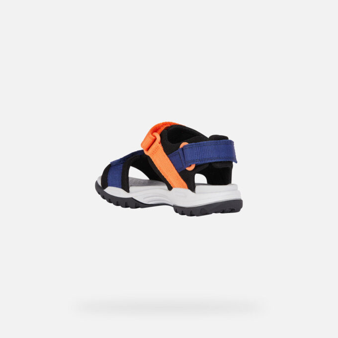 Borealis   Junior