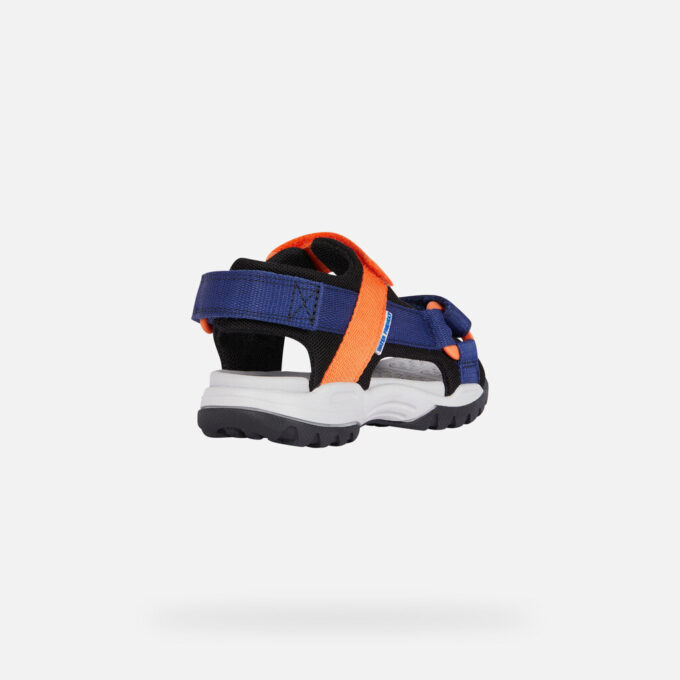 Borealis   Junior