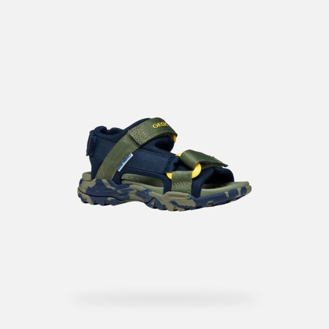 Borealis   Junior