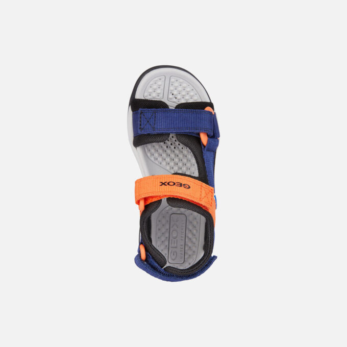 Borealis   Junior