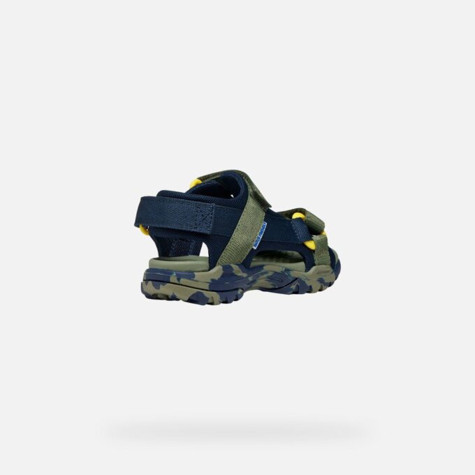 Borealis   Junior