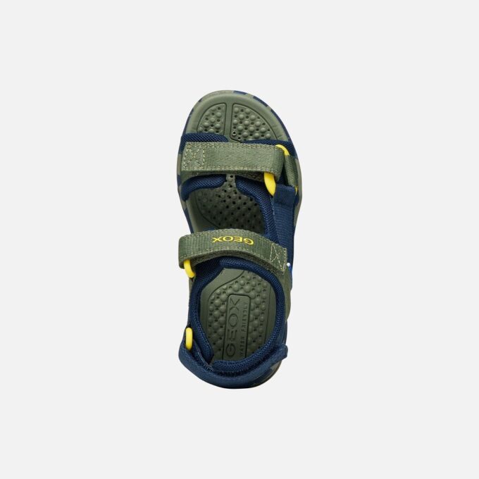 Borealis   Junior