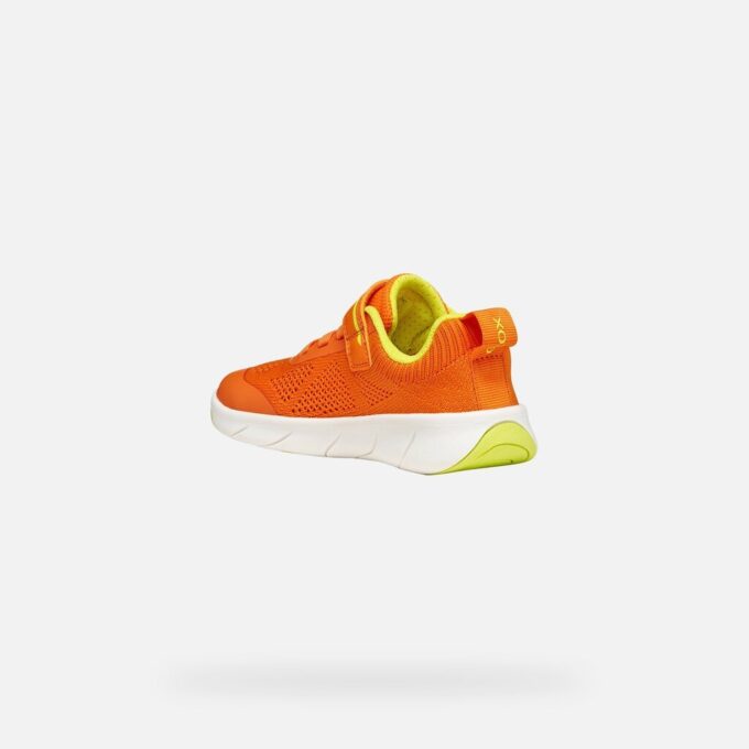 Foot-Run Junior