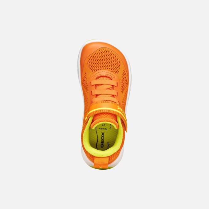 Foot-Run Junior