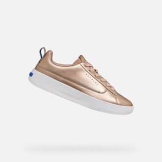 Gxcp-01 Damen