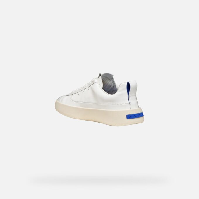 Gxcp-01 Damen