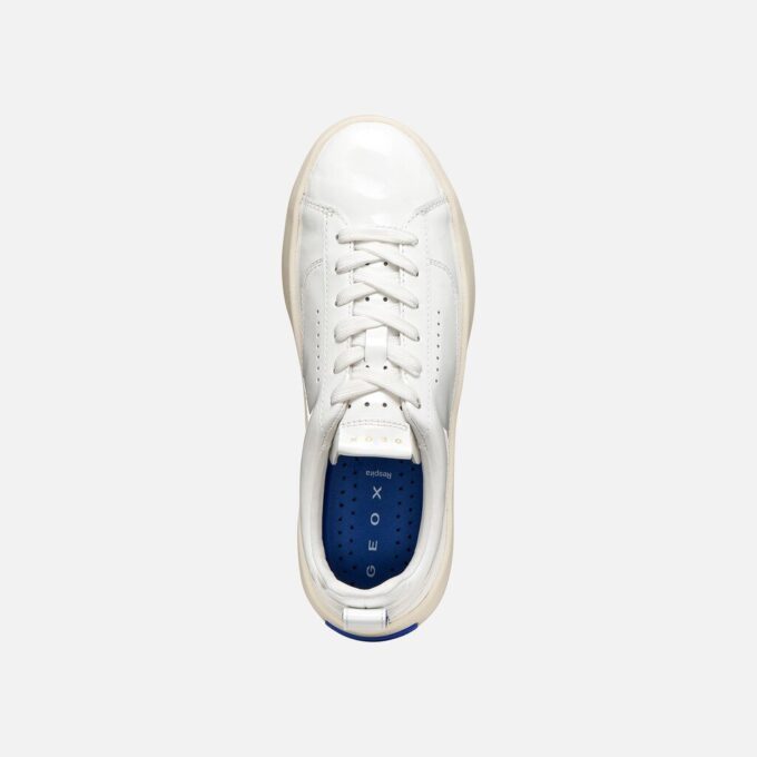 Gxcp-01 Damen