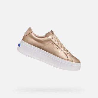 Gxcp-03 Damen