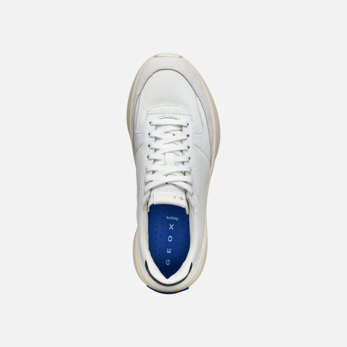 Gxrn-01 Damen