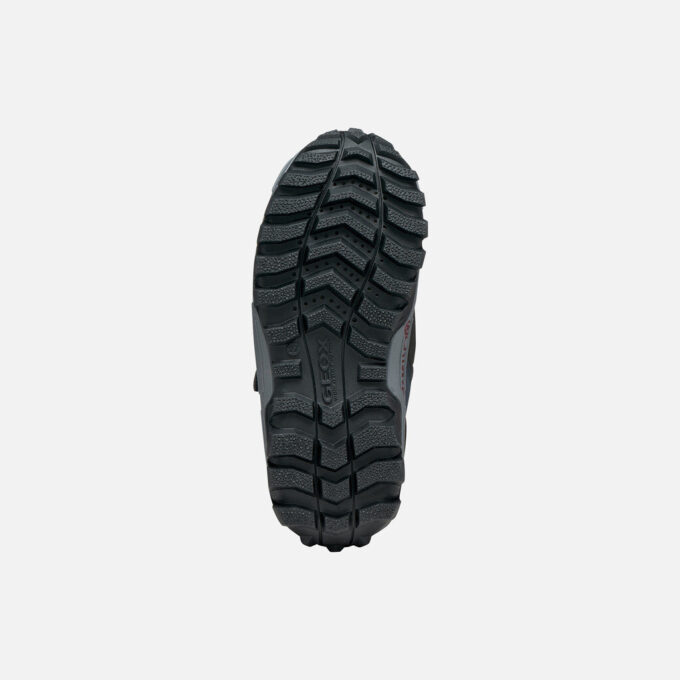 Himalaya Abx Junge Himalaya Abx Junge