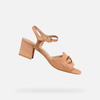 Neue Eraklia 50 für Damen
