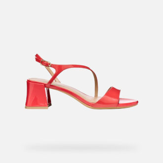 Neue Eraklia 50 T01 für Damen