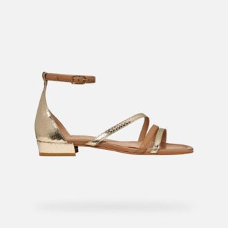 New Eraklia 15 Woman