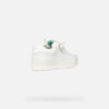 Washiba Junior
