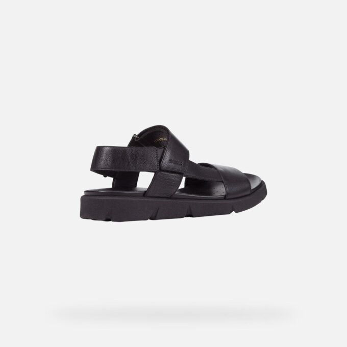 Xand 2S Man